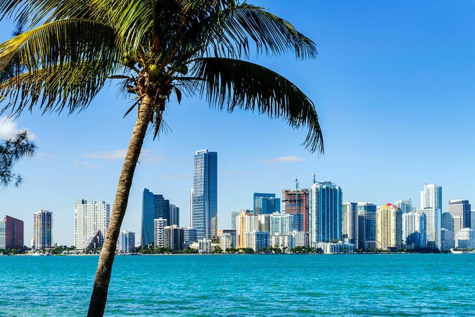 Modern Studio In Miami Beach Zewnętrze zdjęcie